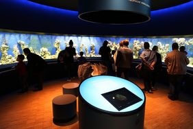 Aquazoo freut sich über mehr als 500.000 Besucher im ersten Jahr; Foto: David Young 