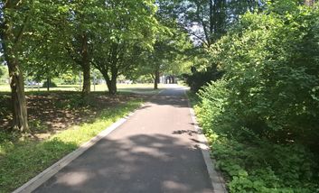 Neuer, asphaltierter und breiterer Radweg der links und Rechts von Büschen eingegrenzt ist.