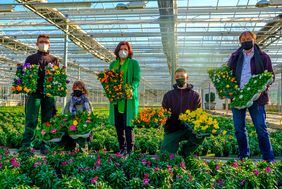 Gründezernentin Helga Stulgies (3.v.l.) präsentierte mit Auszubildenden und Beschäftigten der Stadtgärtnerei die Frühlingsblumen, die nun in Blumenbeeten und -kübeln der Stadt eingepflanzt werden. Fotos: Schaffmeister