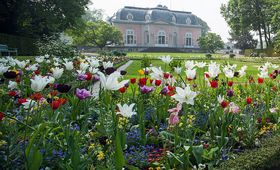 Landeshauptstadt Düsseldorf/Standesamt
