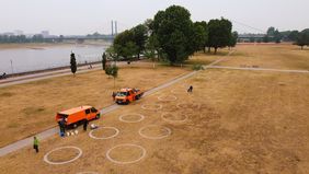 Seit Dienstag, 9. Juni, markiert die Landeshauptstadt Düsseldorf 360 weiße Abstandskreise in der Altstadt und am Rheinufer, wie hier im Rheinpark. Foto: David Young