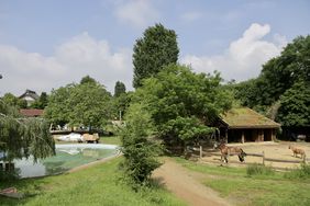 Bei den Düsselferien handelt sich um ein-, zwei- oder dreiwöchige Angebote in kleinen und festen Gruppen. Unter anderem werden auch die Düsseldorfer Abenteuerspielplätze wieder spezielle Angebote anbieten. Foto: Lammert