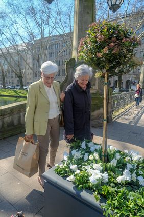 Passantinnen betrachten einen der 18 neuen Pflanzkübel auf der Königsallee. Die Bepflanzung ist in grün und weiß gehalten, der Pflanzkübel in Farbe und Form speziell für die Königsallee ausgewählt worden. Foto: Michael Gstettenbauer