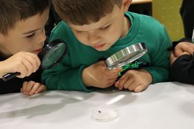 Zwei Jungen beobachten mit Hilfe von Lupen einen Rückenschwimmer in einer Petrischale