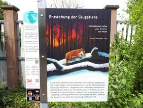 Schild des Evolutionsweges zur Entstehung der Säugetiere