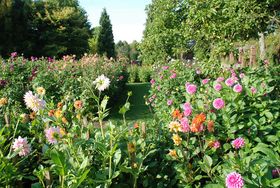 Landeshauptstadt Düsseldorf/Gartenamt
