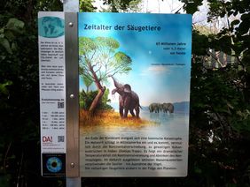 Schild des Evolutionsweges zum Zeitalter der Säugetiere 