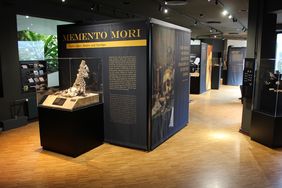 Ein Ausschnitt der Sonderausstellung Memento mori im Aquazoo: Zu sehen ist ein schwarzes Banner mit dem Titel der Ausstellung sowie einige Virtrinen mit Tierpräparaten