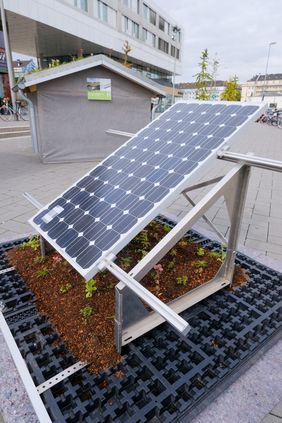 Die Dachbegrünung ist auch in Kombination mit einer Photovoltaikanlage möglich. Foto: Michael Gstettenbauer
