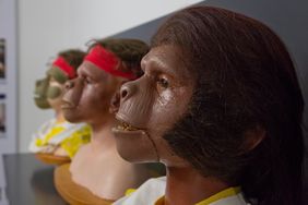 Gipsbüsten des Maskenbildners Werner Keppler, Reproduktionen der Original-Affenmasken aus dem Film "Planet of the Apes" (USA 1968) - Leihgeber: Deutsche Kinemathek, Foto: Ines Schweizer.