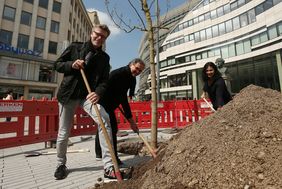 Zum Abschluss der Arbeiten auf dem Schadowplatz haben Verkehrsdezernentin Cornelia Zuschke, Prof. Juan Pablo Molestina, Molestina Architekten GmbH, und Prof. Thomas Fenner, FSWLA Landschaftsarchitektur GmbH, zwei Blauglockenbäume gepflanzt. Foto: Young