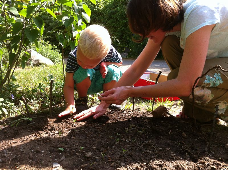 Kita Angeraue mit der Plakette "Schmetterlingsfreundlicher Garten"  ausgezeichnet - Landeshauptstadt Dsseldorf