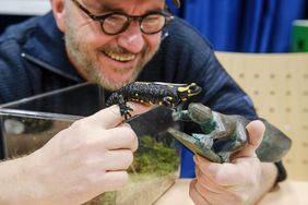 Aquazoo-Direktor Dr. Jochen Reiter (l.), Sandra Honigs (M.), Aquazoo Löbbecke Museum, und der Bildhauer Jörg Mazur stellten die Bronze-Figur "Kleiner Lurch halt durch" vor. Foto: Gstettenbauer