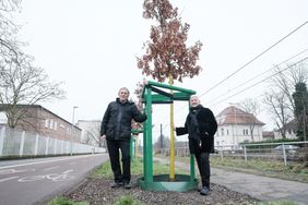 Jochen Kral (l.), Beigeordneter für Mobilität und Umwelt, und Doris Törkel, Leiterin des Garten-, Friedhofs- und Forstamts, haben über die Pflanzsaison informiert und die aktualisierte Düsseldorfer Zukunftsbaumliste vorgestellt, Foto: Gstettenbauer