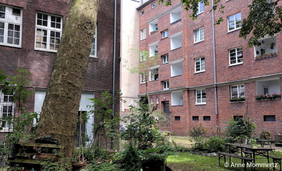 Häuserwände mit Ranken