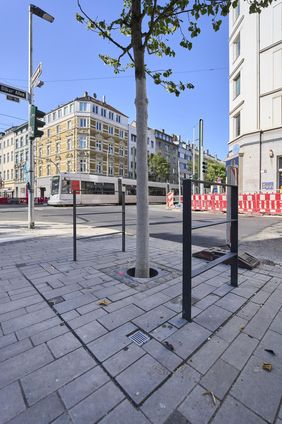 Entlang der Friedrichstraße wurden bereits mehrere neue Bäume gepflanzt. An diesem Standort wurden auch Fahrradbügel installiert. Foto: Claus Langer