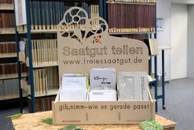 Landeshauptstadt Düsseldorf/Michael Gstettenbauer