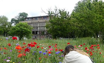 Eine Frau auf der Île du Ramier in Toulouse, die ein Gebäude von einer blühenden Wiese aus fotografiert.