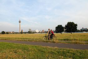 Foto von Freizeitradfahrer auf den Rheinwiesen in Düsseldorf