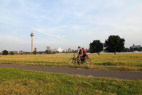 Foto von Radfahrenden auf den Düsseldorfer Rheinwiesen mit Rhein und Rheinturm im Hintergrund