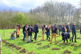 Rund 300 engagierte Düsseldorferinnen und Düsseldorfer haben auf der rund 7.000 Quadratmeter großen Fläche gegenüber dem Wasserwerk Bockum über 1.000 junge Waldbäume gepflanzt. Fotos: Gstettenbauer