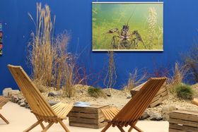  Aquazoo Löbbecke Museum