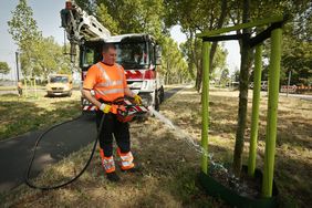 Sven Klein und seine Kollegen vom Stadtentwässerungsbetrieb unterstützen das Gartenamt bei der Bewässerung. Foto: David Young