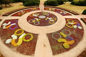 Der Blumenring im Nordpark von oben: Aus Anlass der Tour de France drehen "blumige" Radfahrer ihrer Runden