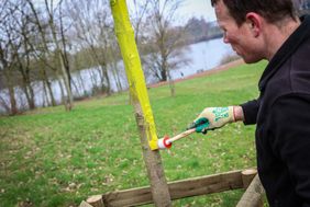 Ein Schwerpunkt des Planungskonzepts "Düsseldorf pflanzt Zukunft" liegt auf dem Südpark. Dort haben die Stadtgärtnerinnen und -gärtner 150 Bäume und 14 Großsträucher in die Erde gebracht.