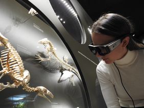 Der Aquazoo untersucht das Besucherverhalten: Bei einem Pilotversuch kam im Aquazoo erstmals eine "Eye-Tracking-Brille" zum Einsatz; Foto: Aquazoo Löbbecke Museum