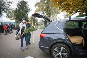 Auch Olaf Busch pflanzt und pflegt einen Obstbaum in seinem Düsseldorfer Garten. Foto: Melanie Zanin