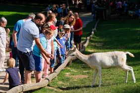 Impressionen vom Wildparkfest. Foto: M. Gstettenbauer