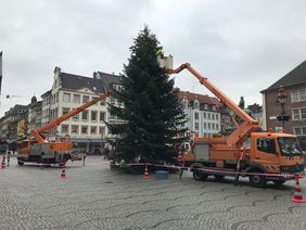 Auf dem Markplatz wird der Tannenbaum am Rathaus aufgstellt; Foto: Buch