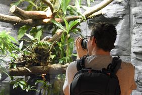 Tierfotografie im Aquazoo Löbbecke Museum
