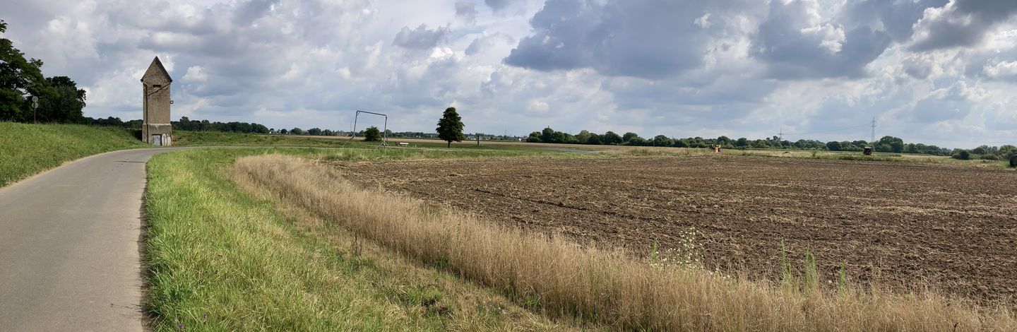 Deichsanierung Himmelgeister Rheinbogen
