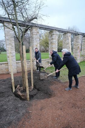 Ein weiterer Schritt im Rahmen des Planungskonzepts "Düsseldorf pflanzt Zukunft": (v.l.) Gartenamtsleiterin Doris Törkel, Beigeordneter Jochen Kral und Matthias Pasch vom Gartenamt pflanzten einen Zierapfelbaum im Nordpark.