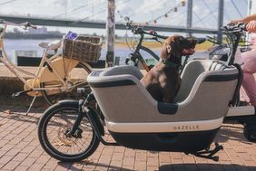 Impression vom Lastenrad-Aktionstag im Rahmen der Europäischen Mobilitätswoche: ein modernes Lastenrad - tierisch gut. Foto: Connected Mobility Düsseldorf