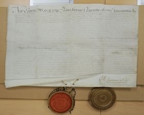 Die in jahrzehntelanger Arbeit zusammengetragene Sammlung umfasst unter anderem eine Urkunde von Kaiser Leopold II. aus dem 18. Jahrhundert. Foto: Wilfried Meyer
