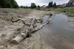 Der naturnahe Ausbau im Bereich der Südlichen Düssel in Vennhausen schreitet voran. Foto: Lammert