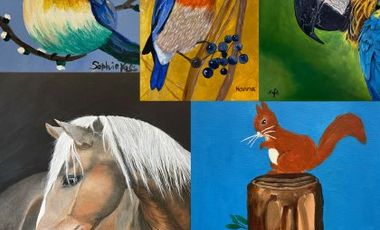 Fünf verschiedene bunte Tierzeichnungen in einer Collage: Drei Vögel, ein Pferd und ein Eichhörnchen.