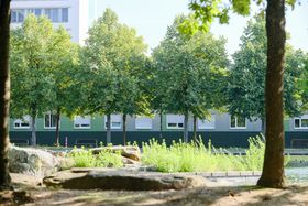 Landeshauptstadt Düsseldorf/Michael Gstettenbauer