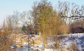 Die renaturierte Südliche Düssel im Winter bei Schnee.