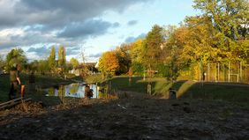 Die südliche Düssel: Das Gebiet zwischen dem Spaltwerk Höherhof und dem Gothaer Weg wurde fertiggestellt und ist nun wieder für die Öffentlichkeit begehbar. Foto: Stadtentwässerungsbetrieb