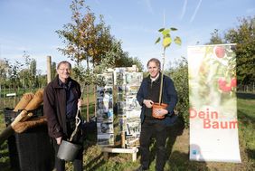 Beigeordneter Jochen Kral (r.) und Jörg Langenhorst, Leiter des Hauptbetriebshofes, stellten am Montag, 10. Oktober, die zweite Auflage der Aktion "Dein Baum" vor. Foto: Landeshauptstadt Düsseldorf/Ingo Lammert