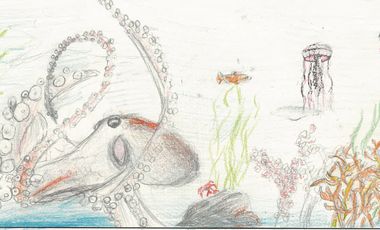 Eines der Gewinnenden-Bilder mit Buntstift gezeichnet: Zwischen Wasserpflanzen ist ein Oktopus zu sehen. Darüber zeihen drei Quallen durch das Wasser