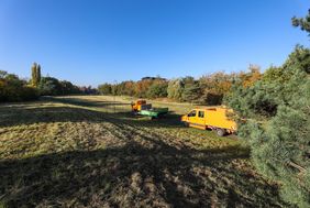 In der Grünanlage auf dem Tunneldeckel der Autobahn 44 südlich des Flughafens wird eine 27.000 Quadratmeter große Blühwiese angelegt. Foto: Melanie Zanin