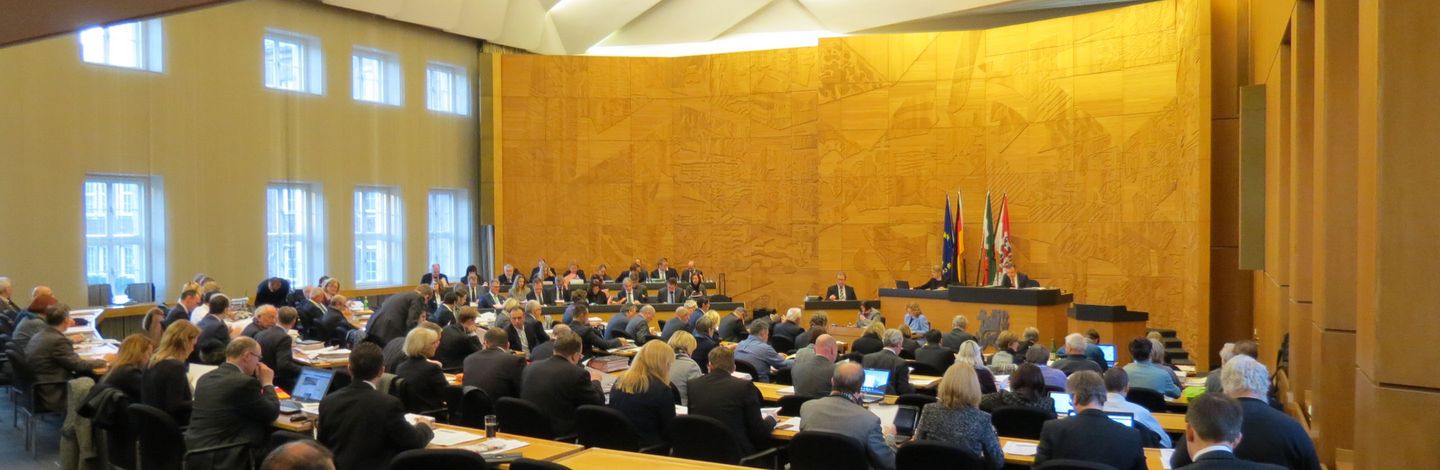 Blick in den Plenarsaal des Düsseldorfer Stadtrates (Foto: Ingo Lammert)
