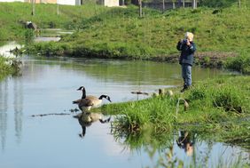 Junge steht mit Kamera an der renaturierten Düssel und fotografiert zwei Wildgänse