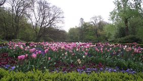 Angeboten wird ein Osterspaziergang durch den Volksgarten am Mittwoch, 17. April. Foto: Landeshauptstadt Düsseldorf/Gartenamt