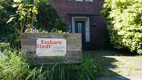 Im Rahmen der "Essbaren Stadt" können die Menschen in Düsseldorf sich wieder für ein kostenloses Biohochbeet bewerben. Foto: Amt für Umwelt- und Verbraucherschutz
